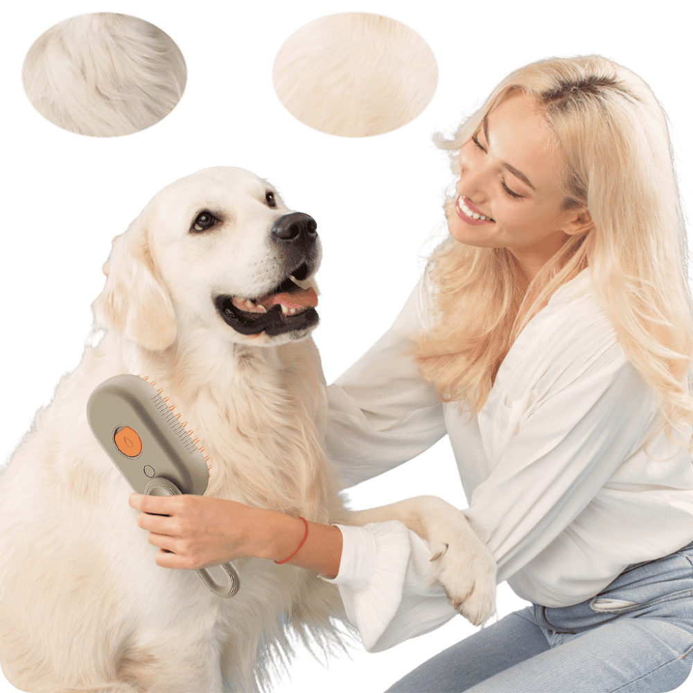 Cepillo A Vapor Para Mascota 3 En 1